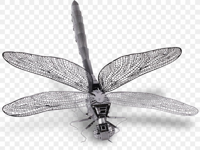Insect Wing Alkaline Earth Metal Dragonfly, PNG, 900x676px, Insect, Alkaline Earth Metal, Arthropod, Black And White, Butterflies And Moths Download Free