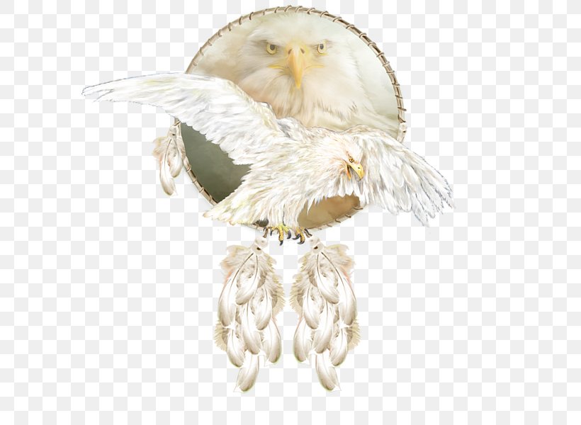 Owl Bird Feather Beak Imitation Gemstones & Rhinestones, PNG, 600x600px, Owl, Beak, Bird, Bird Of Prey, Craft Download Free