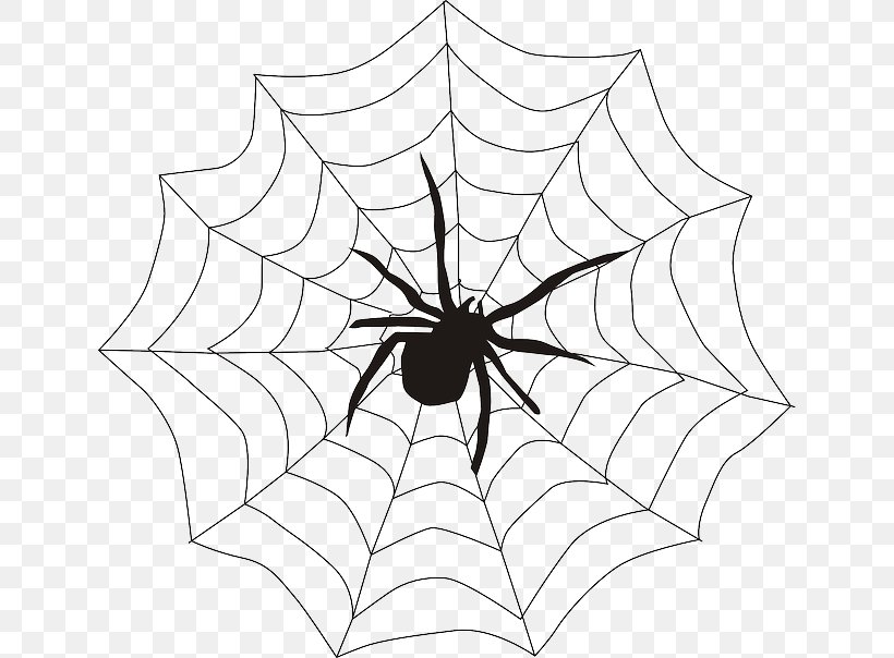 Spider Web Clip Art, PNG, 640x604px, Spider, Arachnid, Area, Black And White, Blog Download Free