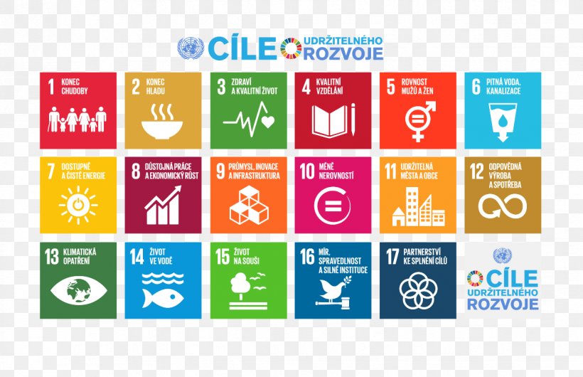 Sustainable Development Goals United Nations International Development Millennium Development Goals, PNG, 1224x792px, Sustainable Development Goals, Area, Brand, Display Advertising, Episcopal Relief Development Download Free