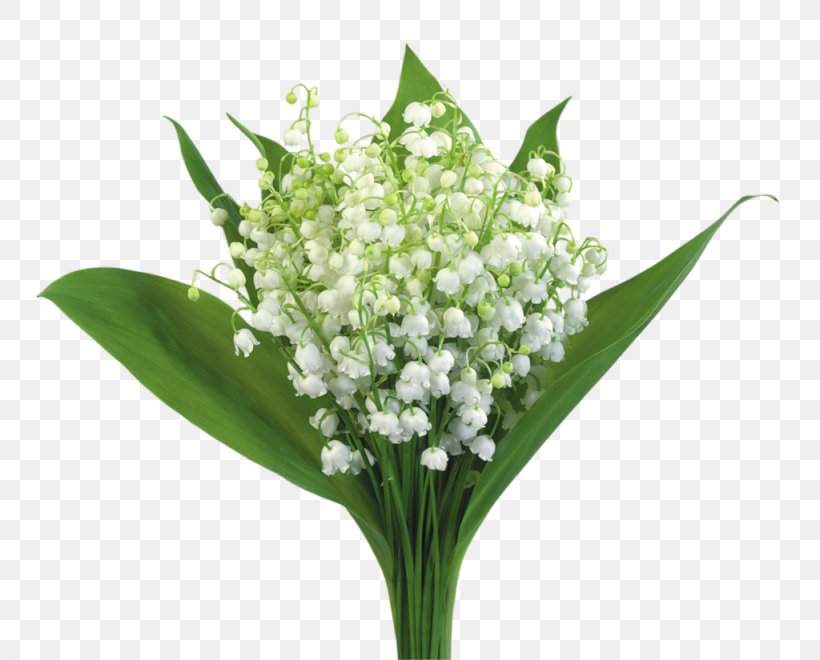 Flower Bouquet Birthday Lily Of The Valley Gift, PNG, 1024x825px, Flower Bouquet, Baby Announcement, Birthday, Cut Flowers, Flower Download Free
