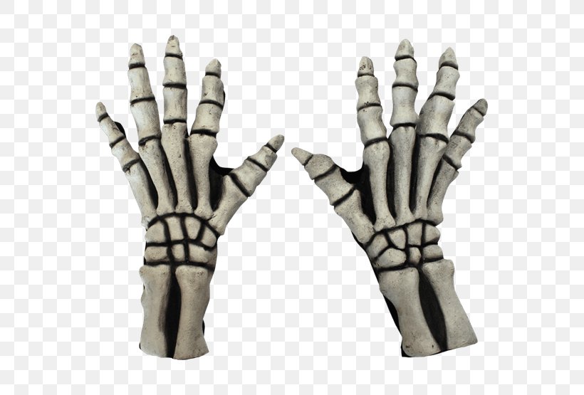 Human Skeleton Glove Costume Hand, PNG, 555x555px, Skeleton, Arm, Bone, Costume, Disguise Download Free