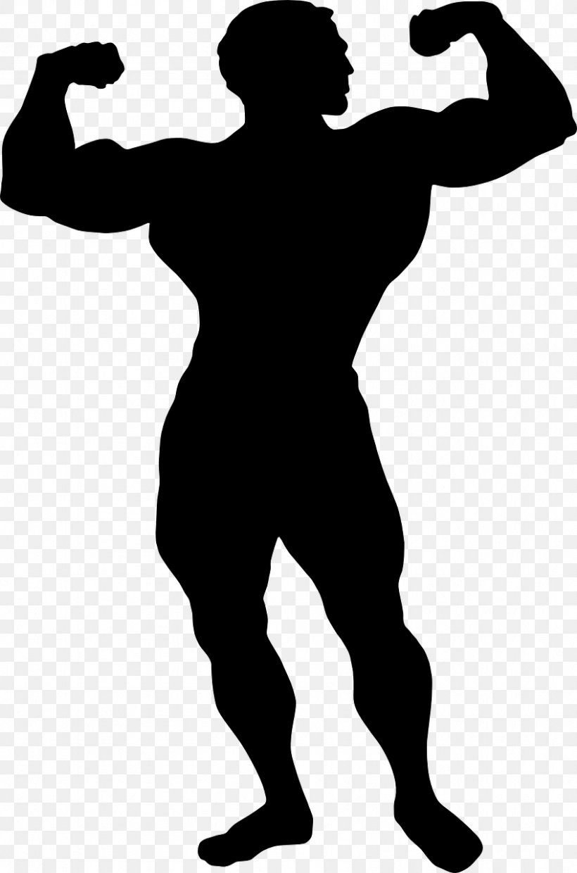 Bodybuilding Vector Graphics Clip Art Illustration Silhouette, PNG, 846x1280px, Bodybuilding, Exercise, Muscle, Photography, Physical Fitness Download Free