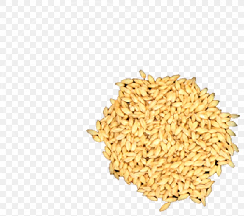Brown Rice Proso Millet Stock Photography Foxtail Millet, PNG, 1400x1239px, Brown Rice, Cereal, Cereal Germ, Commodity, Dinkel Wheat Download Free