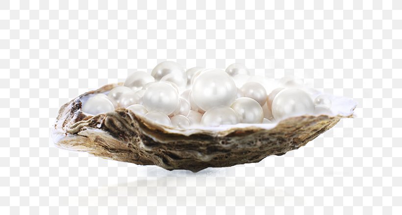 Clam Pearl Vecteur, PNG, 810x438px, Clam, Clams Oysters Mussels And Scallops, Designer, Jewellery, Oyster Download Free