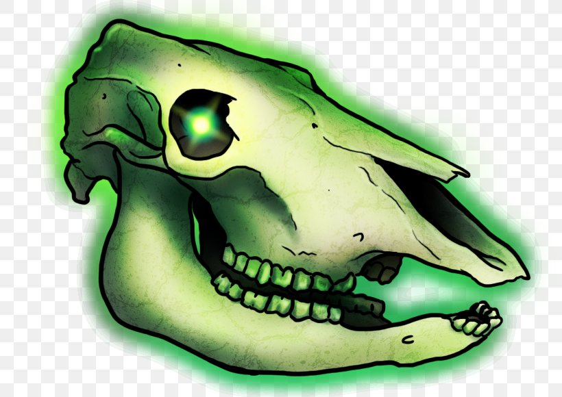 Reptile Amphibian Skull, PNG, 800x580px, Reptile, Amphibian, Bone, Jaw, Legendary Creature Download Free