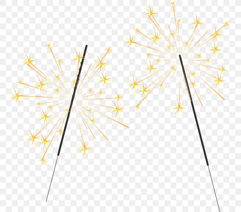 Sparkler Fireworks Animation, PNG, 763x720px, Sparkler, Animation, Branch, Fireworks, Flower Download Free