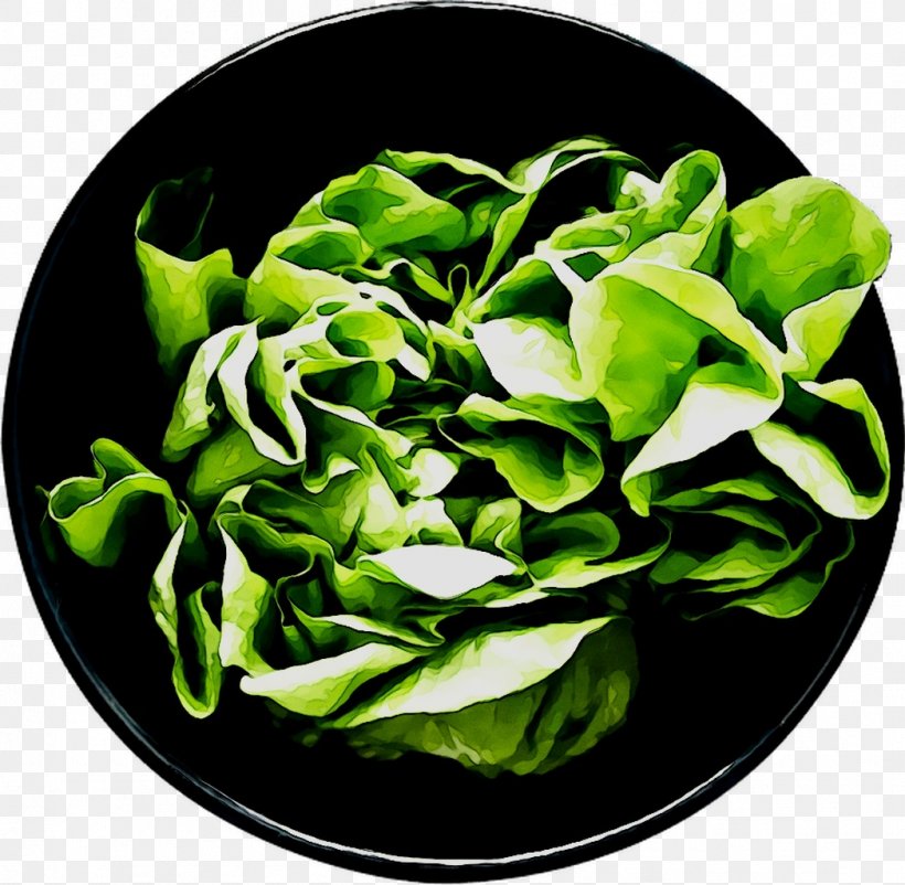 Spinach Spring Greens, PNG, 1048x1025px, Spinach, Basil, Choy Sum, Dishware, Flower Download Free