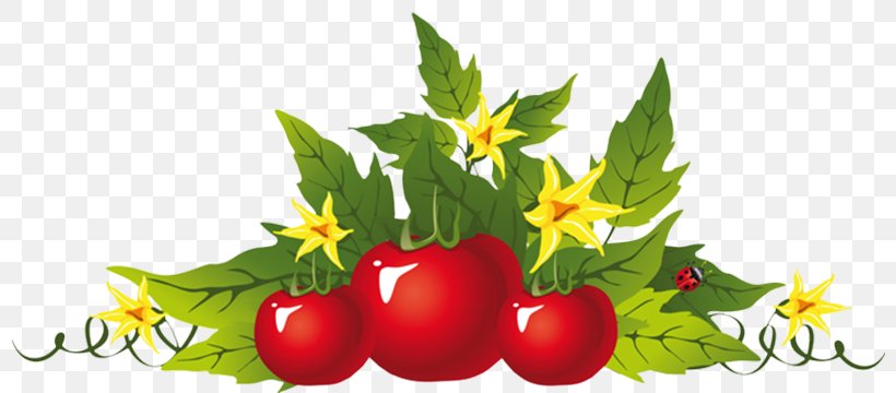 Tomato Soup Tomato Juice Vegetable Clip Art, PNG, 800x360px, Tomato Soup, Bell Peppers And Chili Peppers, Bush Tomato, Cherry Tomato, Cucumber Download Free
