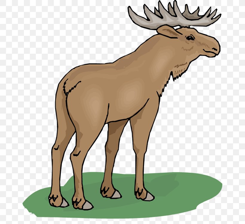 Moose Cartoon Clip Art, PNG, 670x750px, Moose, Animal Figure, Animation, Antelope, Antler Download Free