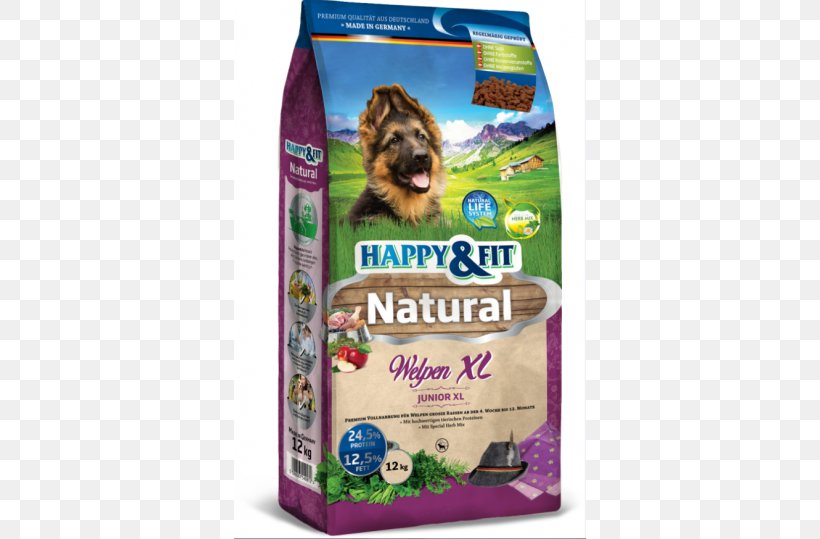 Puppy Dog Food Yorkshire Terrier Breed Eukanuba, PNG, 500x539px, Puppy, Age, Breed, Breeder, Cereal Download Free