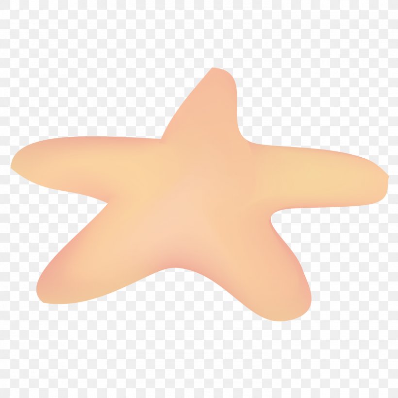 Starfish Euclidean Vector, PNG, 1500x1501px, Starfish, Designer, Echinoderm, Finger, Hand Download Free