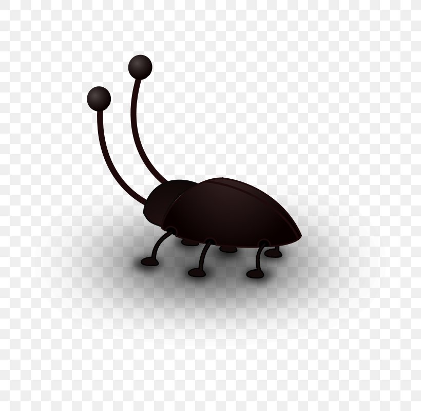 Clip Art Cockroach Beetle Openclipart Antenna, PNG, 800x800px, Cockroach, Antenna, Beetle, Black, Insect Download Free