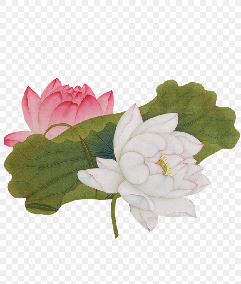 China Nelumbo Nucifera Painting Chinese Art, PNG, 846x1000px, China, Art, Chinese Art, Chinese Painting, Culture Download Free