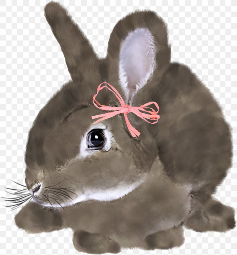 Easter Bunny Rabbit Hare, PNG, 912x981px, Easter Bunny, Animal, Birthday, Depositfiles, Domestic Rabbit Download Free