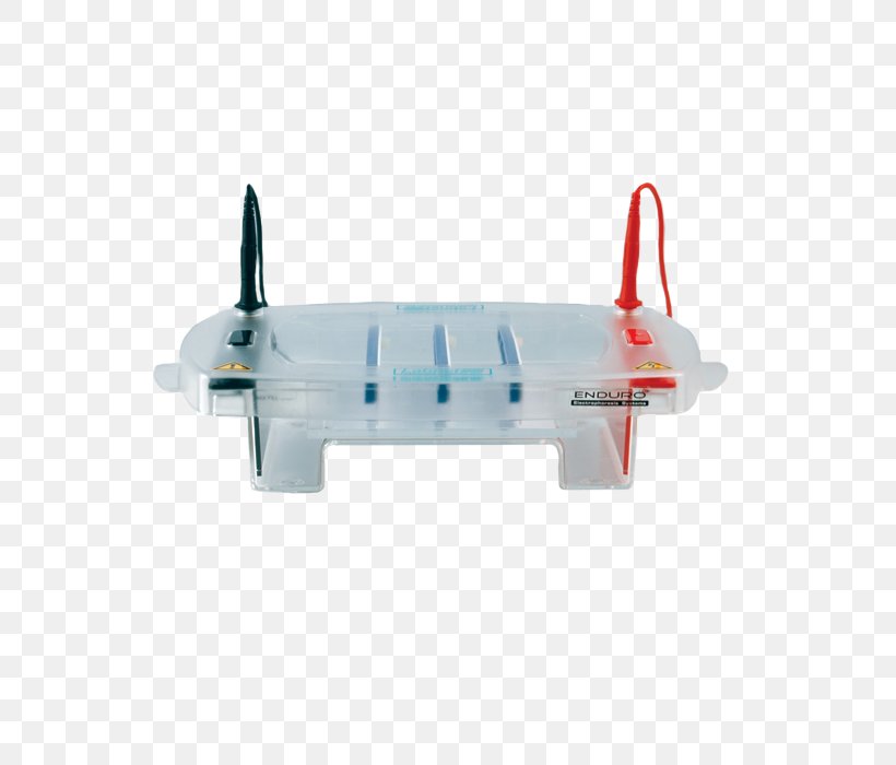 Gel Electrophoresis Gel Electrophoresis System Electroblotting, PNG, 600x700px, Electrophoresis, Automotive Exterior, Box, Centimeter, Electroblotting Download Free
