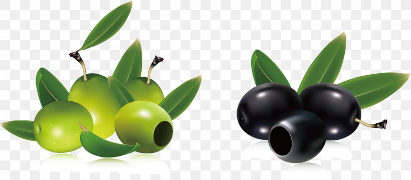 Olive Branch Clip Art, PNG, 1317x578px, Olive, Drawing, Food, Free Content, Fruit Download Free