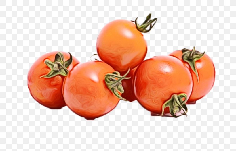 Tomato Cartoon, PNG, 715x526px, Plum Tomato, Bush Tomato, Cherry Tomatoes, Diet Food, Food Download Free