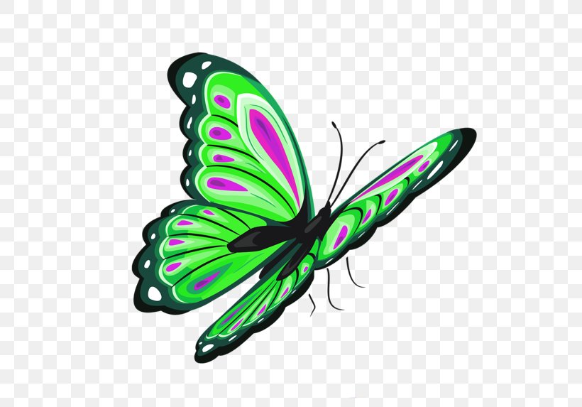 Butterfly Clip Art, PNG, 600x573px, Butterfly, Arthropod, Brush Footed Butterfly, Butterflies And Moths, Color Download Free