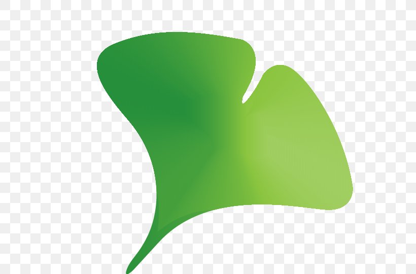 Maidenhair Tree Product Clip Art Logo, PNG, 640x540px, Maidenhair Tree, Blog, Case Study, Customer, Ginkgo Download Free