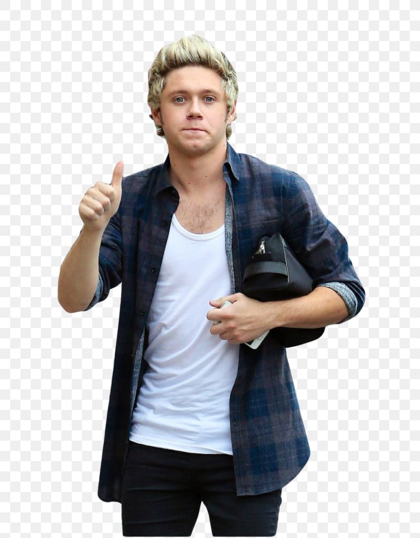 Niall Horan One Direction Night Changes Drag Me Down, PNG, 700x1050px, Watercolor, Cartoon, Flower, Frame, Heart Download Free