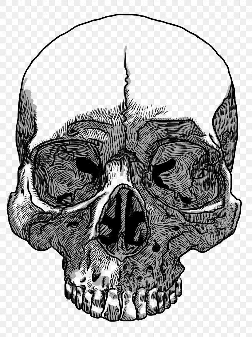 Skull Drawing Transparency And Translucency Clip Art, PNG, 1536x2048px, Skull, Art, Black And White, Bone, Color Download Free
