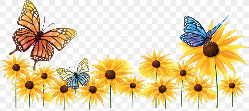 Butterfly Common Sunflower Insect Pollinator Clip Art, PNG, 4157x1869px, Butterfly, Arthropod, Brush Footed Butterfly, Butterflies And Moths, Common Sunflower Download Free