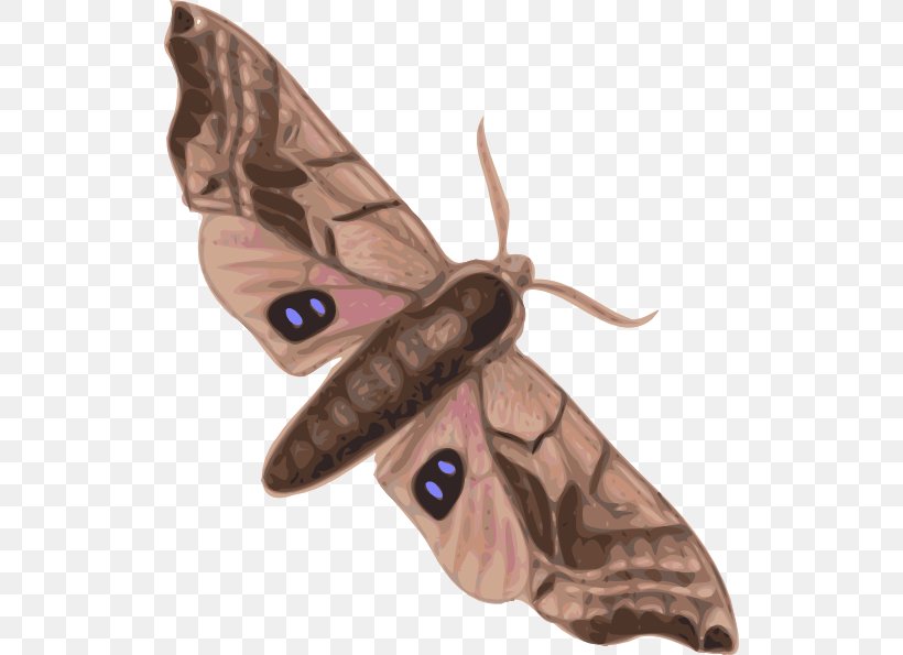 Butterfly Moth Clip Art, PNG, 522x595px, Butterfly, Attacus Atlas, Butterflies And Moths, Cabbage Moth, Free Content Download Free