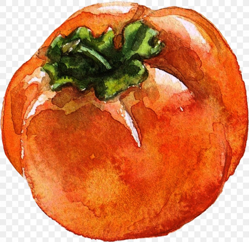 Watercolor Painting Carambola Fruit Illustration, PNG, 848x823px, Watercolor Painting, Auglis, Carambola, Dish, Food Download Free