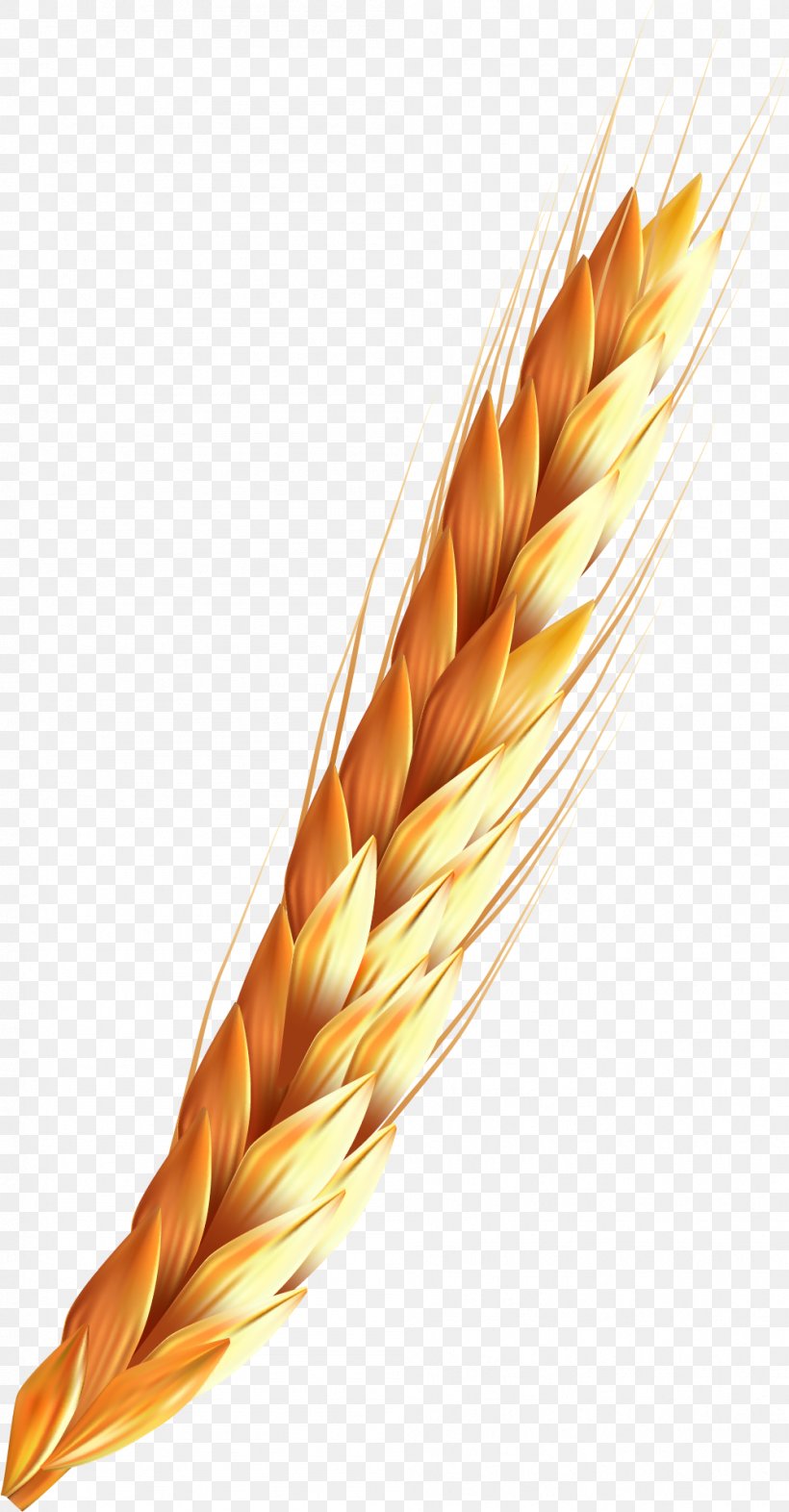 Rice Food, PNG, 1001x1919px, Rice, Cereal, Commodity, Food, Food Grain Download Free