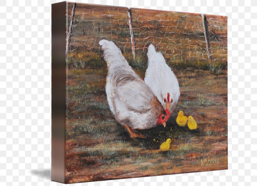 Rooster Goose Cygnini Duck Bird, PNG, 650x593px, Rooster, Anatidae, Beak, Bird, Chicken Download Free