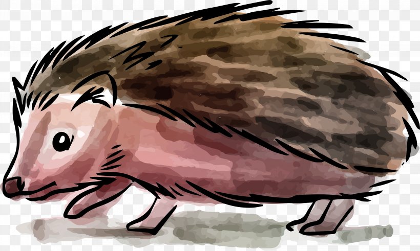 Hedgehog Painting Drawing, PNG, 4534x2718px, Hedgehog, Animal, Beak, Drawing, Fauna Download Free