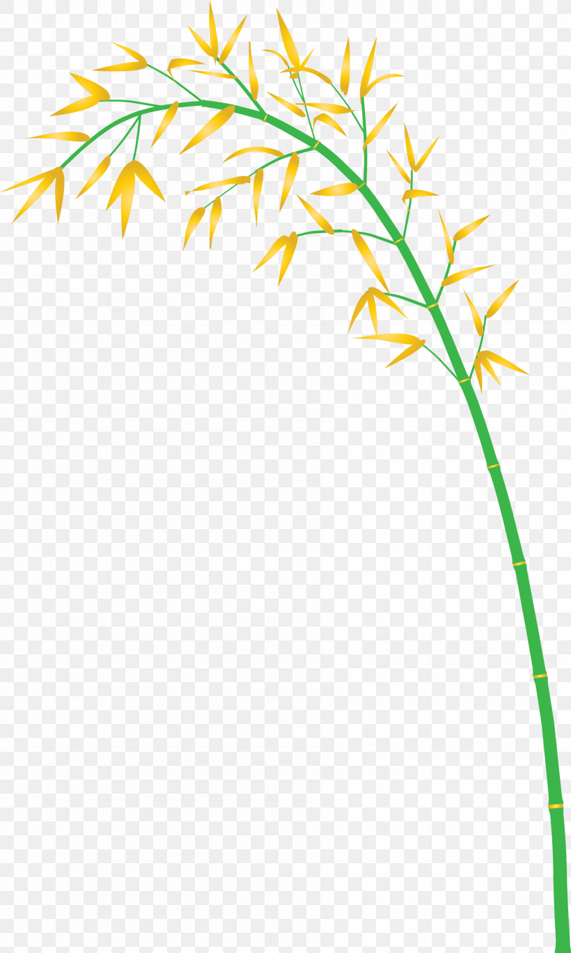 Bamboo Leaf, PNG, 1796x3000px, Bamboo, Flower, Grass, Grass Family, Leaf Download Free