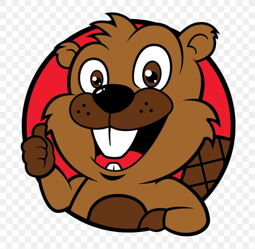 Beaver Dam Bear School Clip Art, PNG, 1602x1565px, Beaver, Bear, Beaver ...