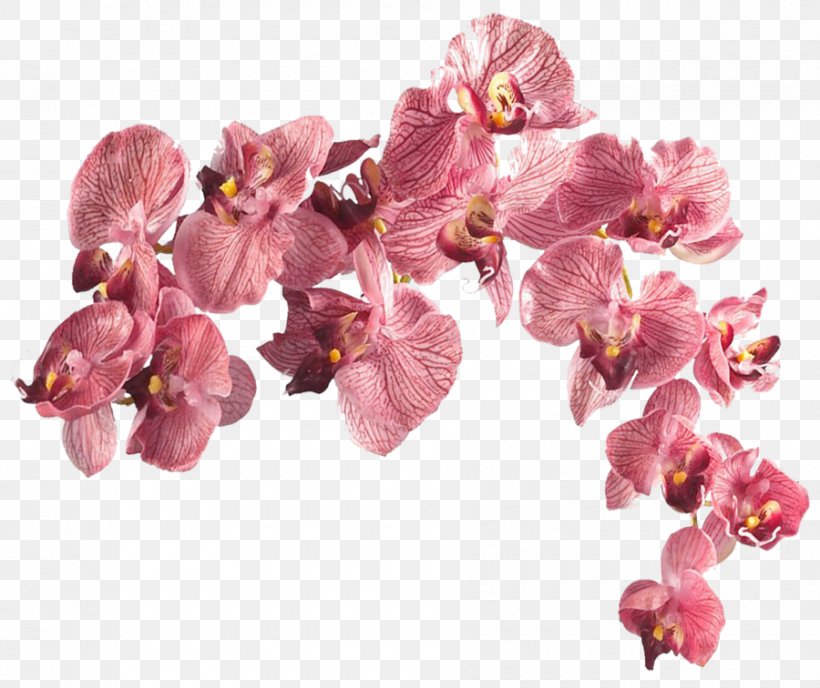 Dancing-lady Orchid Artificial Flower Silk Moth Orchids, PNG, 900x756px, Dancinglady Orchid, Artificial Flower, Cut Flowers, Floral Design, Floristry Download Free