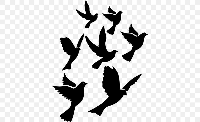 Columbidae Domestic Pigeon Bird Clip Art, PNG, 500x500px, Columbidae, Art, Beak, Bird, Black And White Download Free