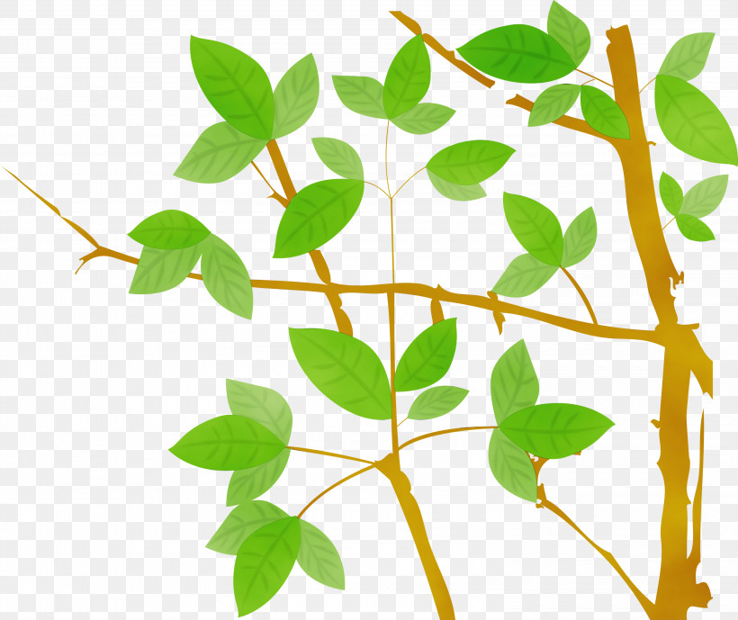 Flower Leaf Plant Plant Stem Tree, PNG, 3000x2522px, Watercolor, Branch, Flower, Leaf, Paint Download Free