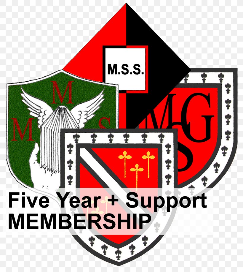 Moseley School Sixth Form Student, PNG, 800x916px, Moseley School, Alumnus, Area, Brand, Campus Download Free