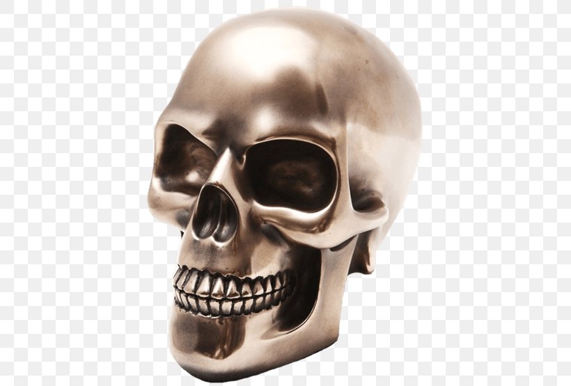 Skull Human Skeleton Head Orbit, PNG, 555x555px, Skull, Bone, Bronze, Celtic Art, Crystal Skull Download Free