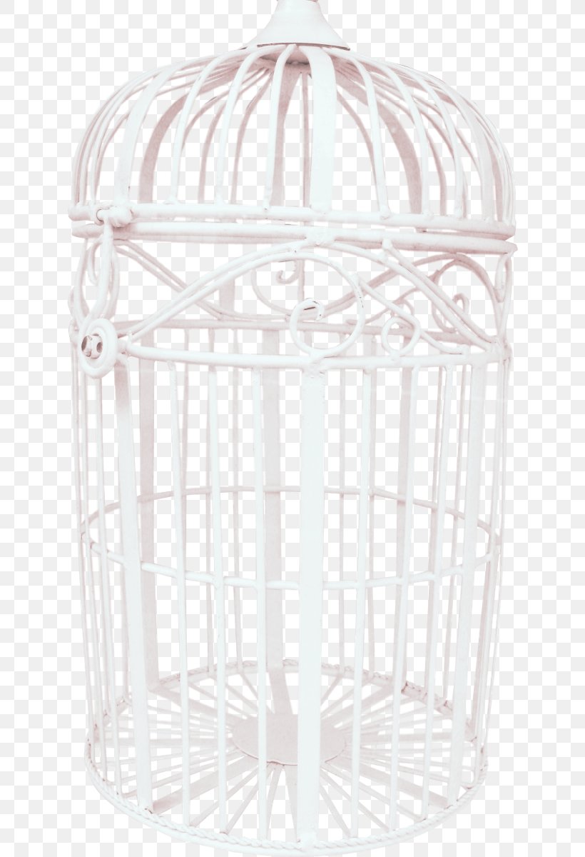 Birdcage Birdcage Parrot, PNG, 632x1200px, Bird, Birdcage, Cage, Mesh, Metal Download Free