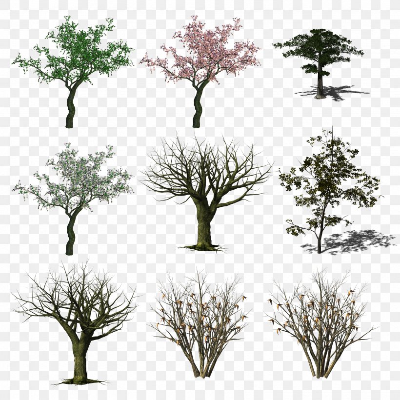 Branch Tree Clip Art Image, PNG, 3333x3333px, Branch, Drawing, Grass, Photography, Plant Download Free