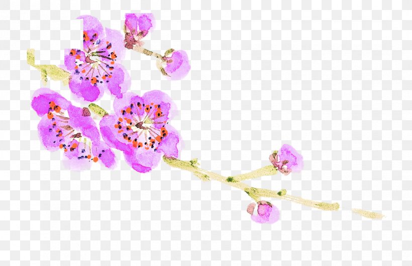 Plum Blossom Flower, PNG, 1223x792px, Plum Blossom, Blossom, Body Jewelry, Branch, Cherry Blossom Download Free