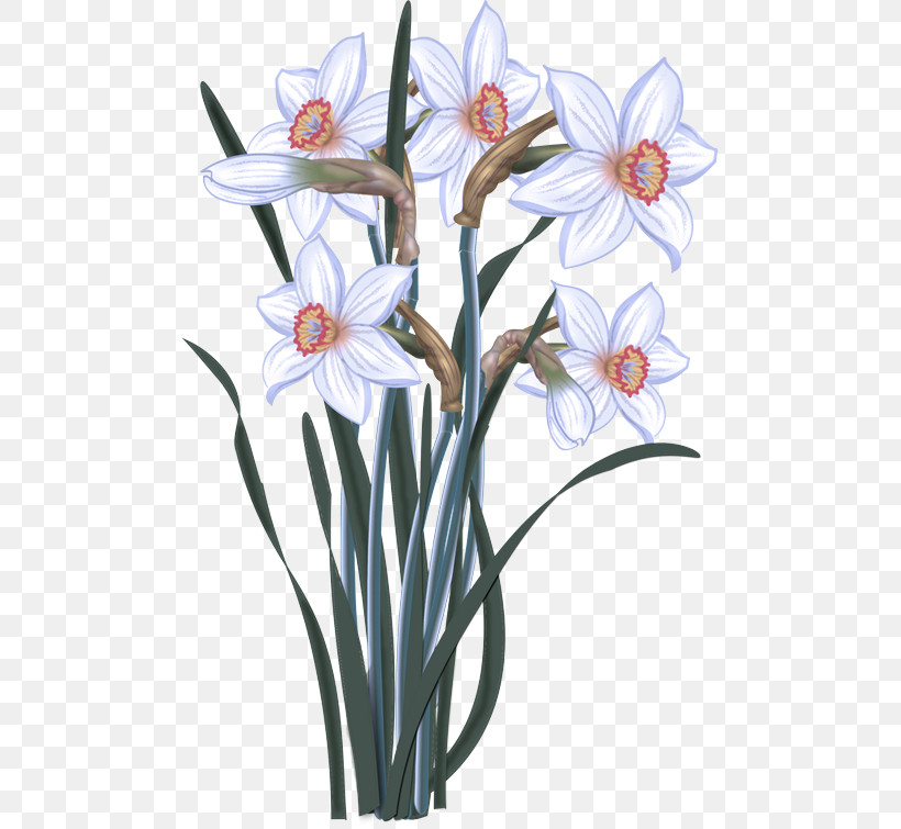 Watercolor Painting Daffodil Drawing Painting Plants, PNG, 489x755px, Watercolor Painting, Amaryllidaceae, Daffodil, Drawing, Paint Download Free