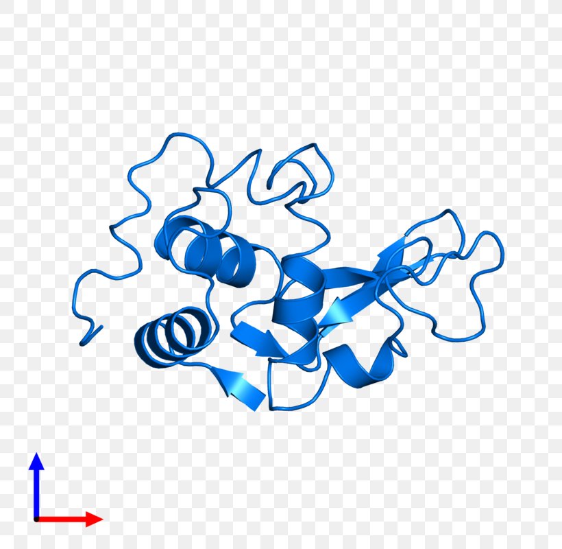 Enzyme Lysozyme Protein Tertiary Structure Bromelain Active Site, PNG, 800x800px, Watercolor, Cartoon, Flower, Frame, Heart Download Free