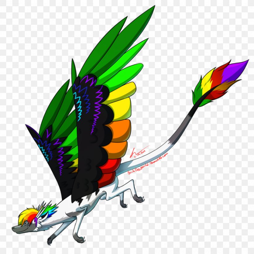 Macaw Parakeet Feather Pet Beak, PNG, 894x894px, Macaw, Beak, Bird, Common Pet Parakeet, Feather Download Free