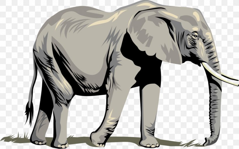 African Elephant Clip Art, PNG, 900x562px, African Elephant, Blog, Drawing, Elephant, Elephants And Mammoths Download Free