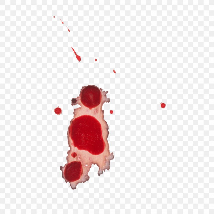 Blood Download 19 September, PNG, 2048x2048px, Blood, Petal, Red Download Free