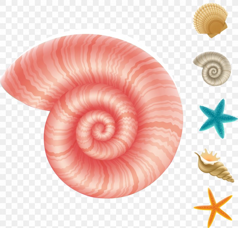 Deep Sea Creature Aquatic Animal Sea Snail Underwater, PNG, 2372x2274px, Deep Sea Creature, Animal, Aquatic Animal, Cartoon, Conchology Download Free