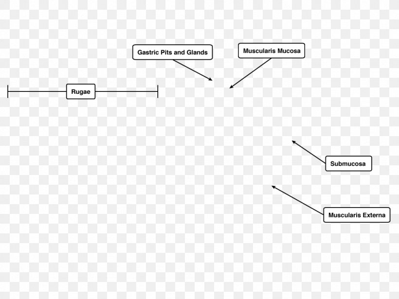 Document Line Brand, PNG, 1024x768px, Document, Area, Brand, Diagram, Number Download Free