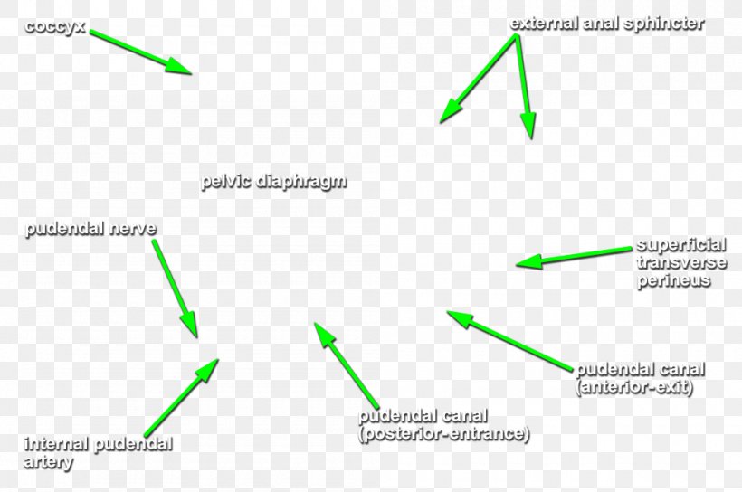Line Angle Diagram, PNG, 1000x664px, Diagram, Area, Grass, Green, Text Download Free